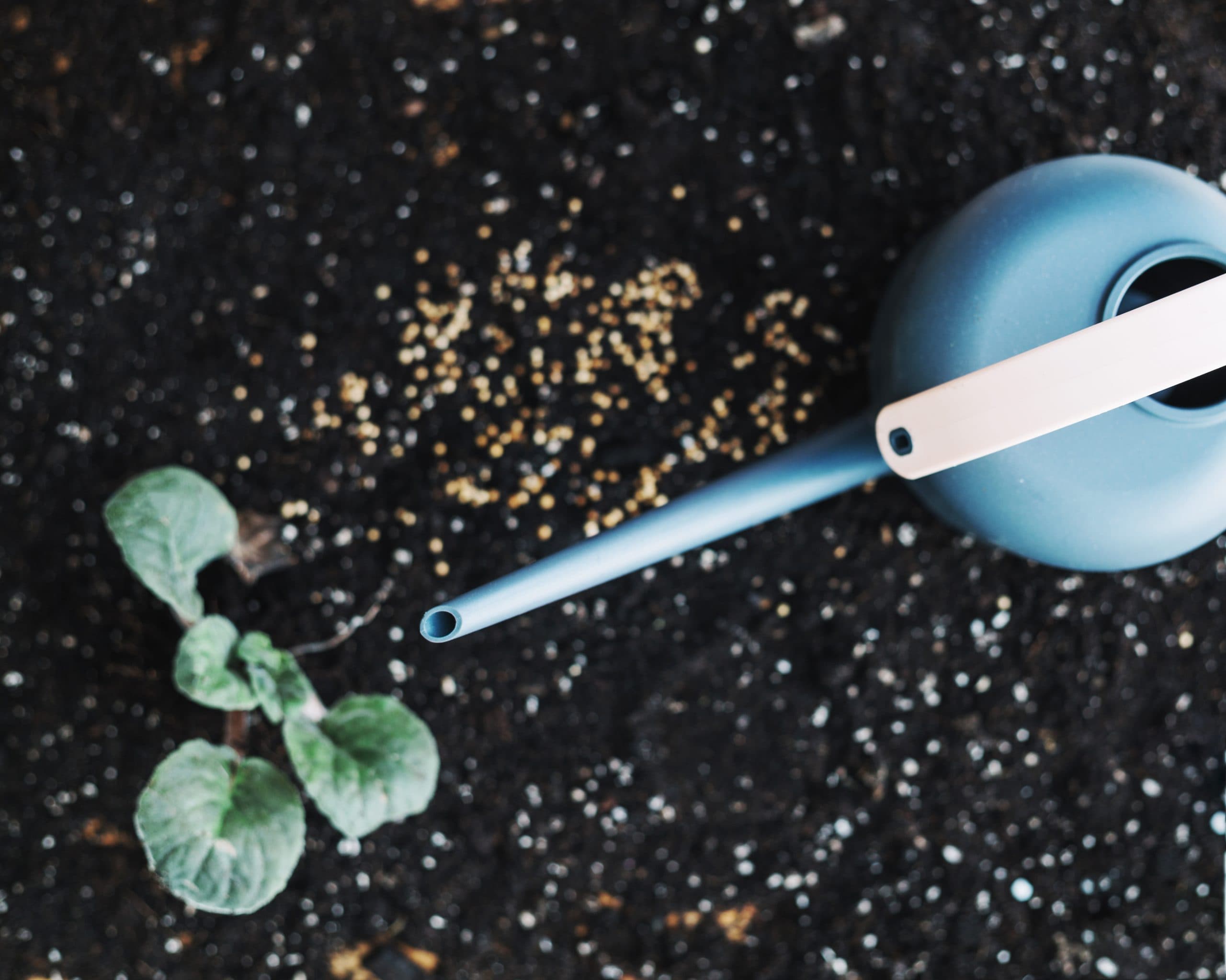 Understanding NPK Ratios and Their Effect on Plant Growth