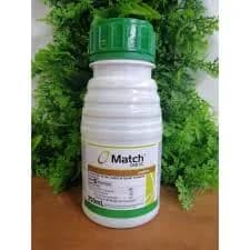 MATCH (250 ML)