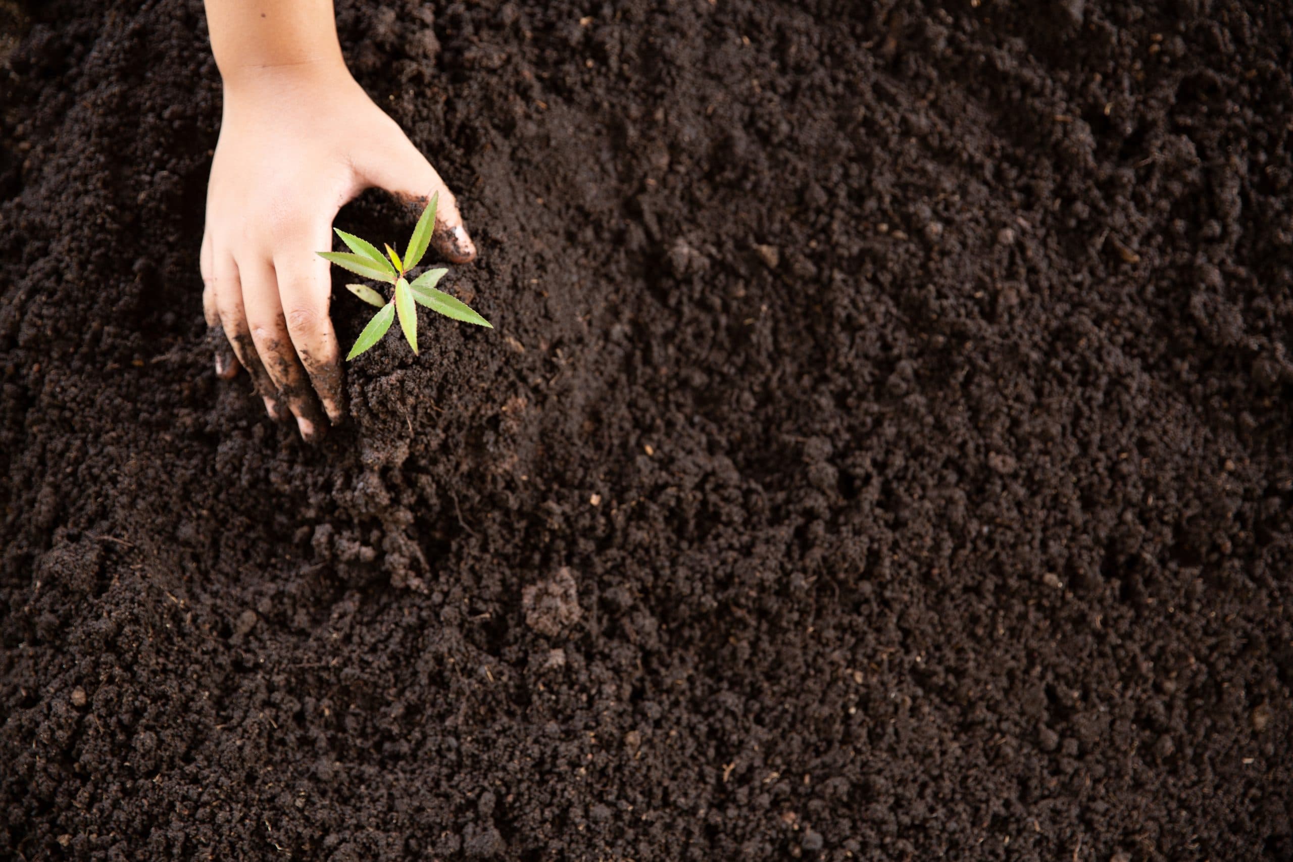 Economic Benefits of Healthy Soil for Farmers