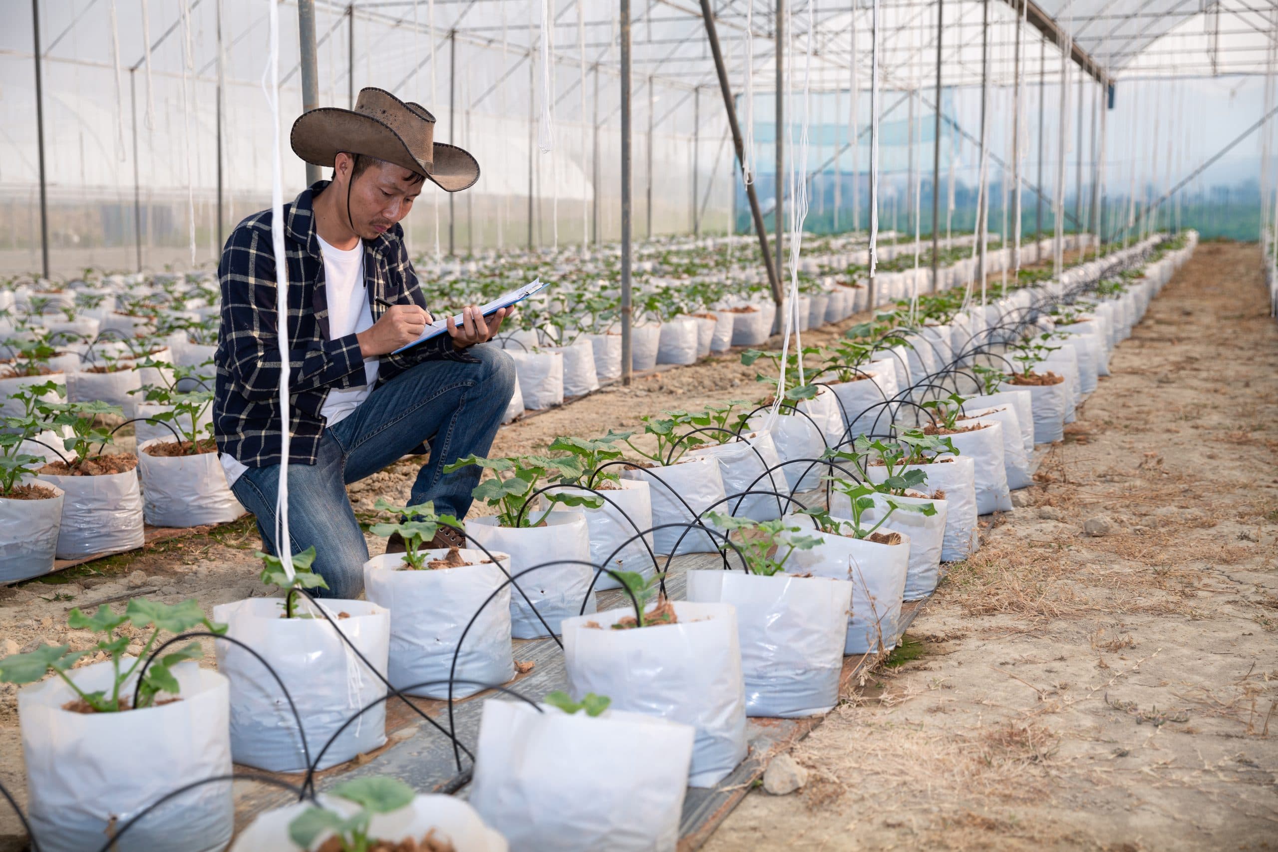 Smart Irrigation Systems for Agriculture: Techniques to Reduce Water Waste and Improve Crop Yield