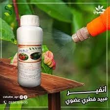 Anvir (Fungous Proteoglycan 1%) 500ML